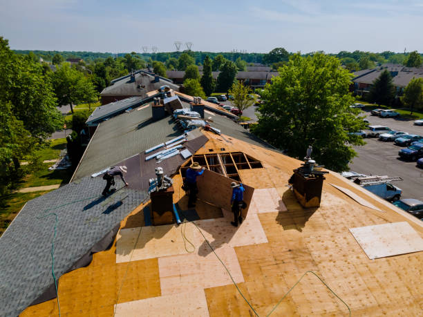 Quick and Trustworthy Emergency Roof Repair Services in Fortuna, CA