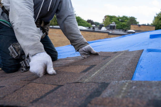 Best Roof Leak Repair  in Fortuna, CA